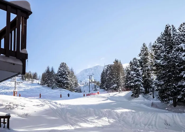 Les Soldanelles - Divisible 4 Pers - Les Soldanelles - 09sol-plagne Villages Mae-6054 Lägenhet *